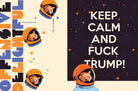 Keep Calm Space Cat Political Greeting Card - Twirls + Twigs