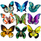 Handpainted Butterfly Clips - Twirls + Twigs