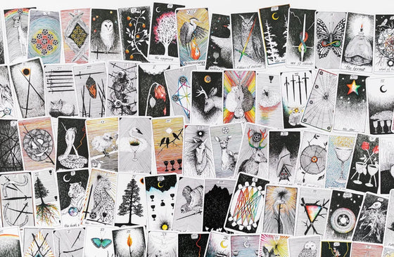 Wild unknown Pocket Tarot in tin box