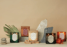 Vista 12 oz Glass Candle – Redwoods & Amber - Twirls + Twigs
