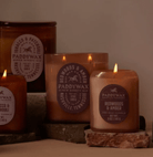 Vista 12 oz Glass Candle – Redwoods & Amber - Twirls + Twigs
