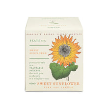  Sweet Sunflower Plant The Box 9 oz Candle