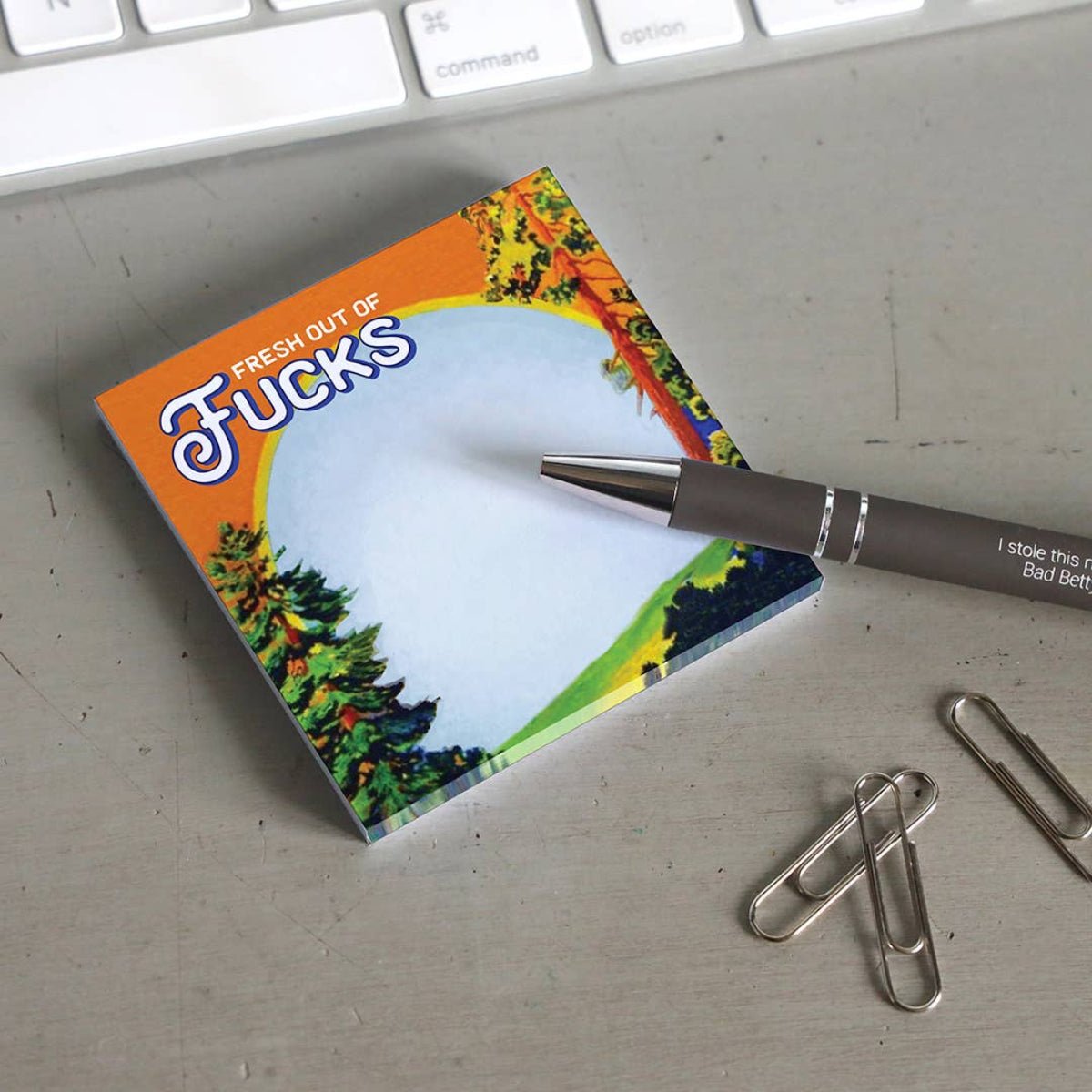 Fresh Out of Fucks - Funny Sarcastic Sticky Note Pad - Twirls + Twigs