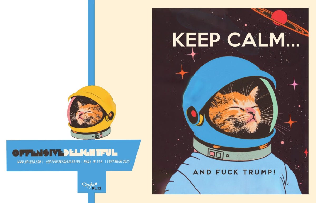Keep Calm Space Cat Political Greeting Card - Twirls + Twigs