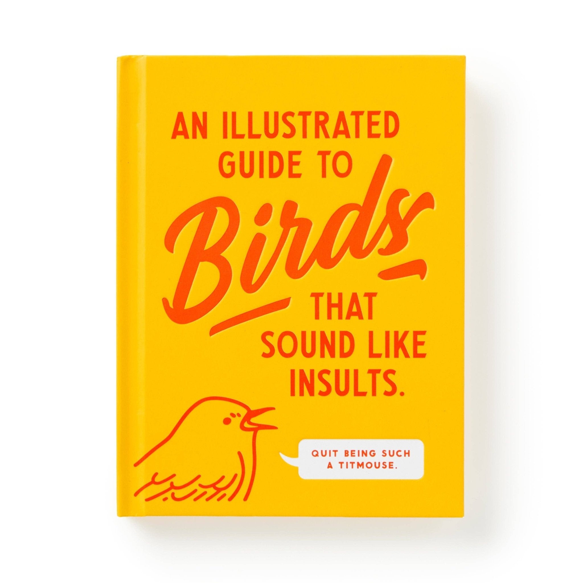 Brass Monkey Illustrated Guide to Birds - Twirls + Twigs