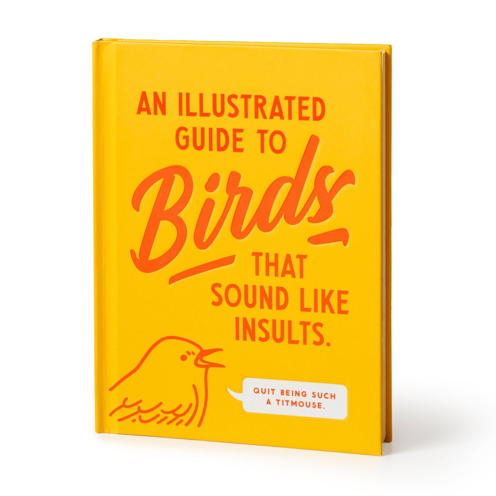 Brass Monkey Illustrated Guide to Birds - Twirls + Twigs