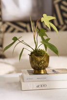 E+E Louie Pot - Twirls + Twigs