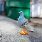 Wind-Up Perky Pigeon - Twirls + Twigs