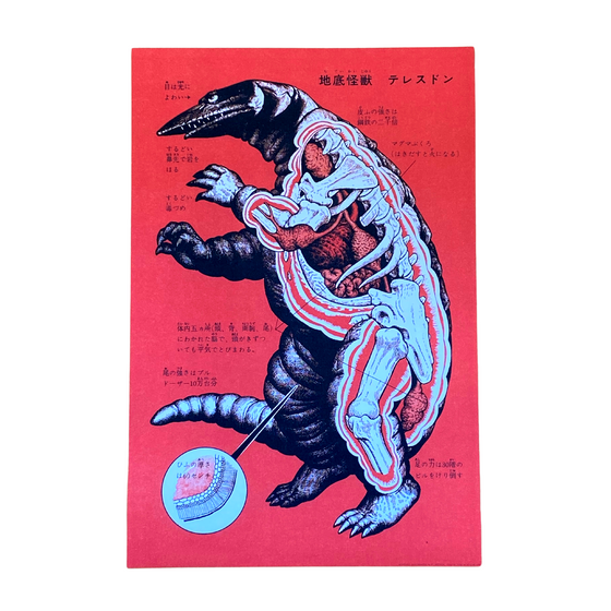 Japanese Monster Lizard Art Print