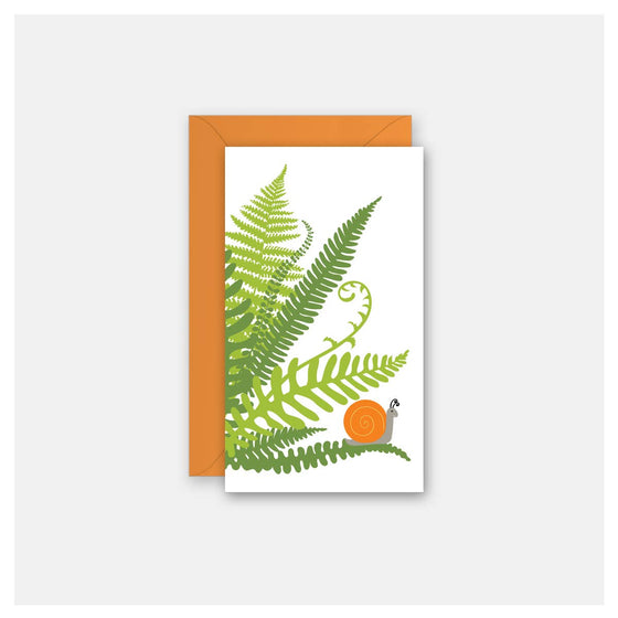 Ferns + Snail - Gift Enclosure Card