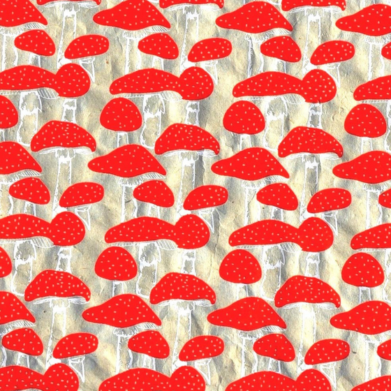 Mushroom gift wrap single sheet