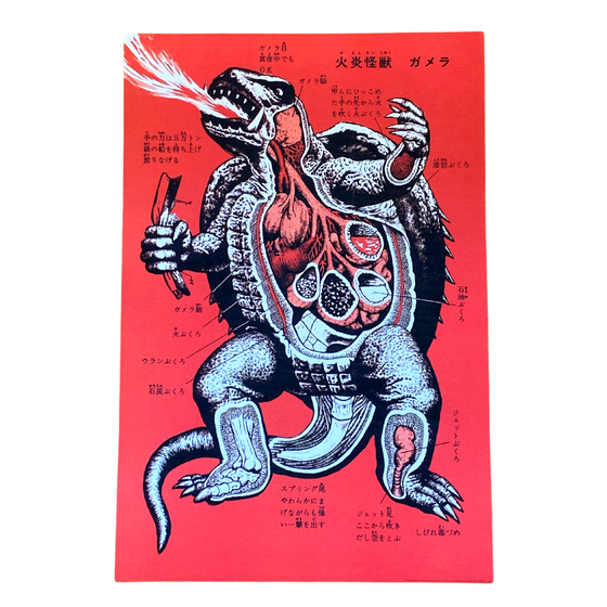 Kaiju Gamera Japanese Monster Turtle