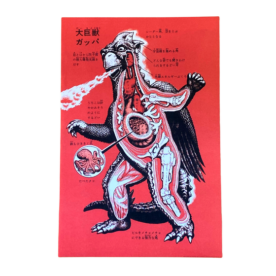 Kaiju Japanese Monster Bird Art Print