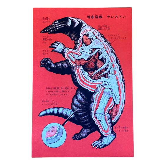 Kaiju Japanese Monster Lizard Art Print